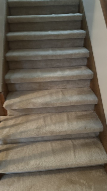 YesSir Services carpet stretching and repair project photo