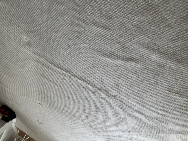 YesSir Services carpet stretching and repair project photo