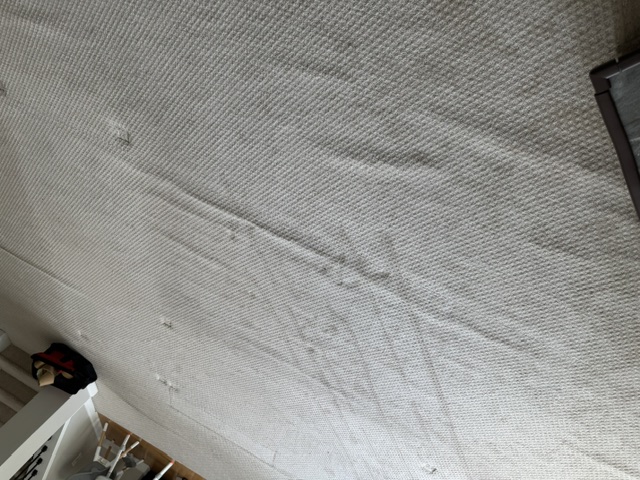 YesSir Services carpet stretching and repair project photo