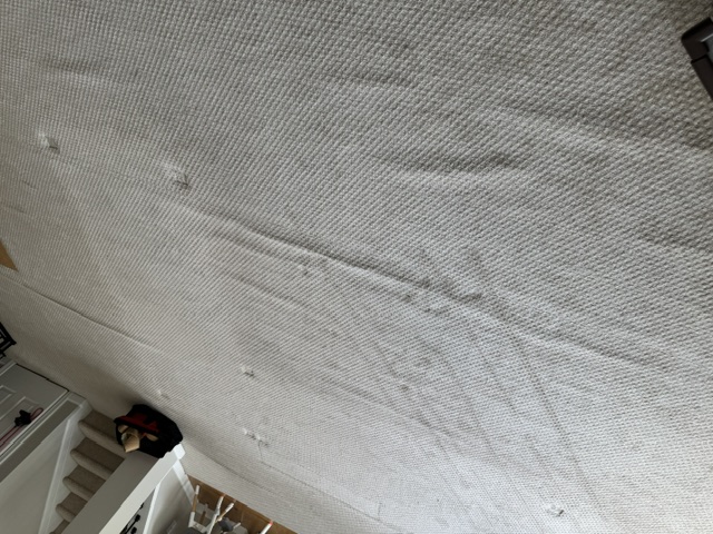 YesSir Services carpet stretching and repair project photo