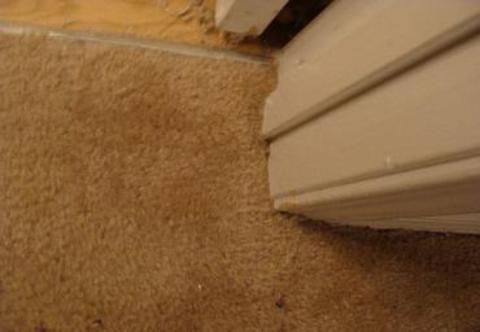 Pet Damage Repair