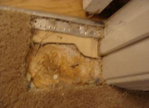 Pet Corner Before