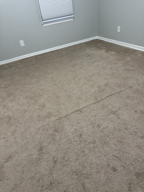 YesSir Services carpet stretching and cleaning customer project photo 34