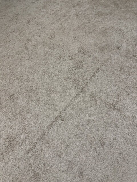 YesSir Services carpet stretching and cleaning customer project photo 35