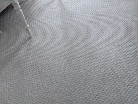 After carpet cleaning close-up of the completed carpet