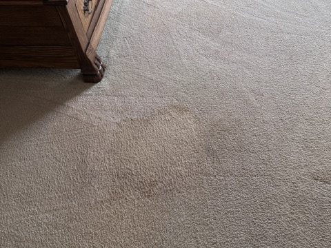 Before deep carpet cleaning showing a spot near furniture