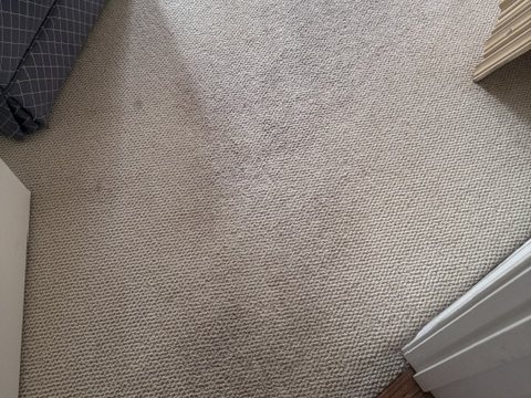After deep carpet cleaning showing a cleaner carpet area