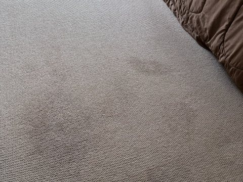 After deep carpet cleaning showing a refreshed carpet surface