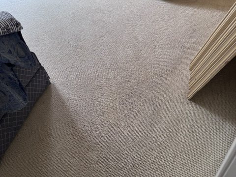After deep carpet cleaning showing the finished carpet detail