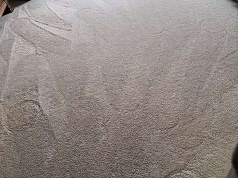 Deep carpet cleaning in progress showing extraction and grooming lines