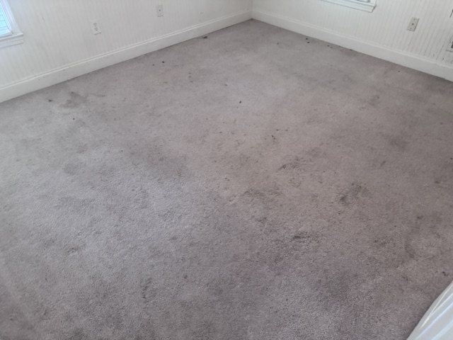 Before carpet cleaning showing room-wide spots and soil