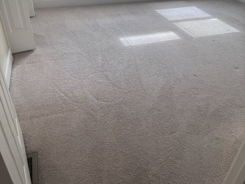 After carpet cleaning showing a clean groomed room