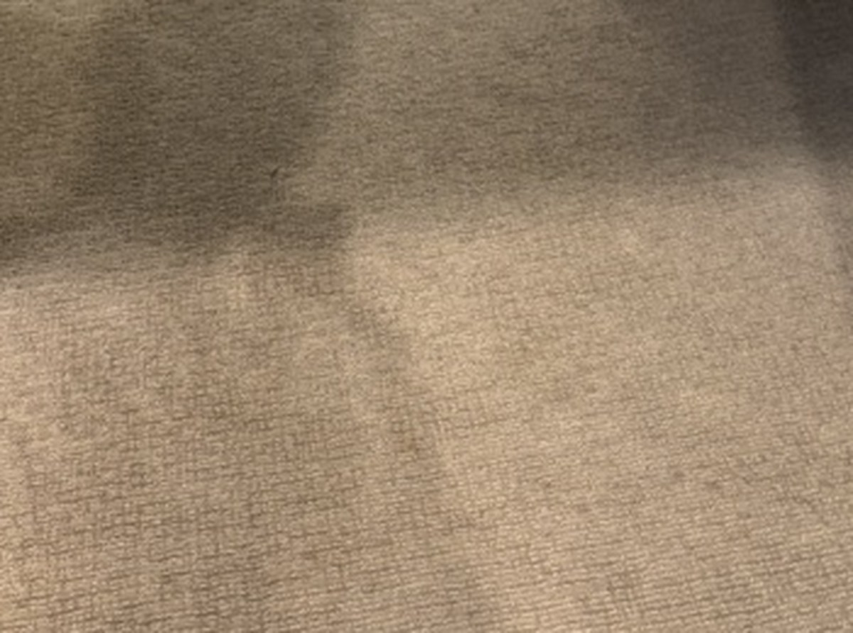 Finished room carpet after service