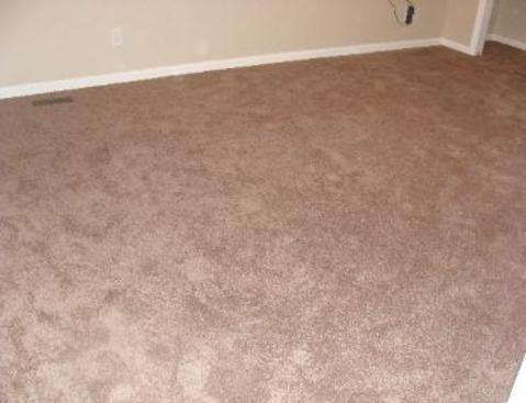 Carpet Cleaning