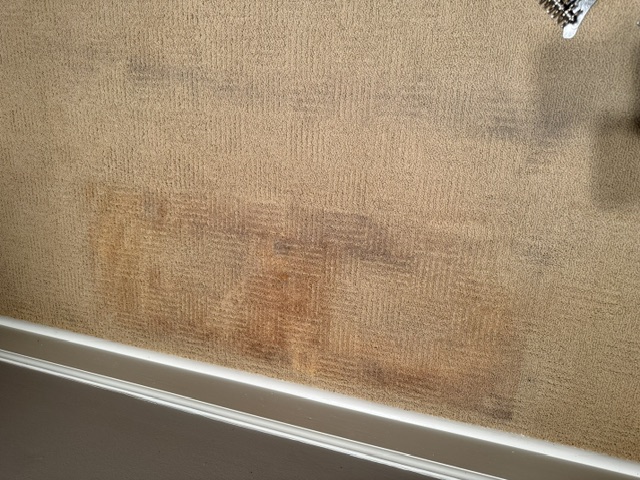 YesSir Services carpet stretching repair and cleaning project