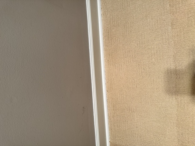 YesSir Services carpet stretching repair and cleaning project