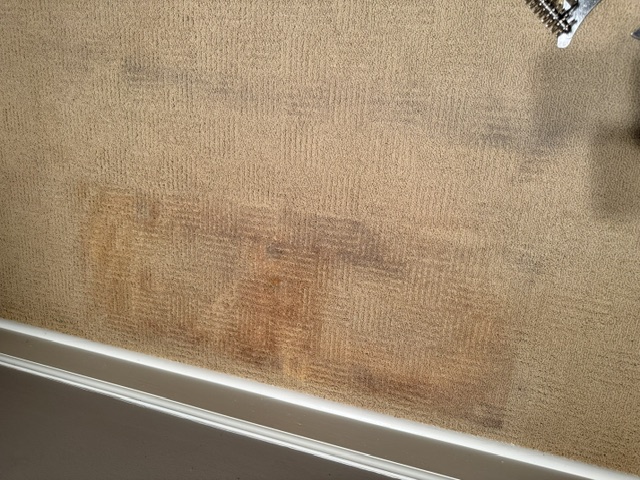 Carpet Cleaning Before & After - Project Progress