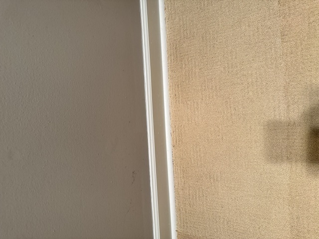 Carpet Repair Before & After - Project Progress