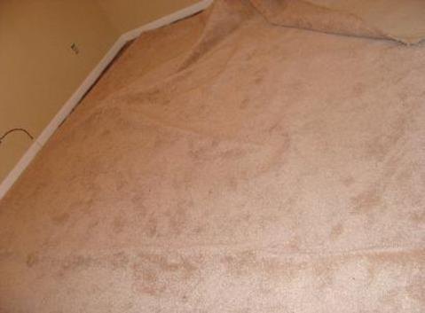 Before carpet stretching